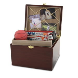 Memory Chest